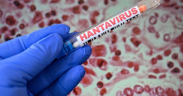Opt contacți ai pacientului cu hantavirus din Arad, în izolare pentru 21 de zile