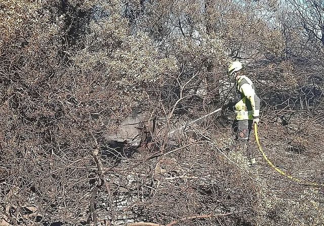 Valencia reabre este lunes la carretera y las playas del Saler tras el incendio
