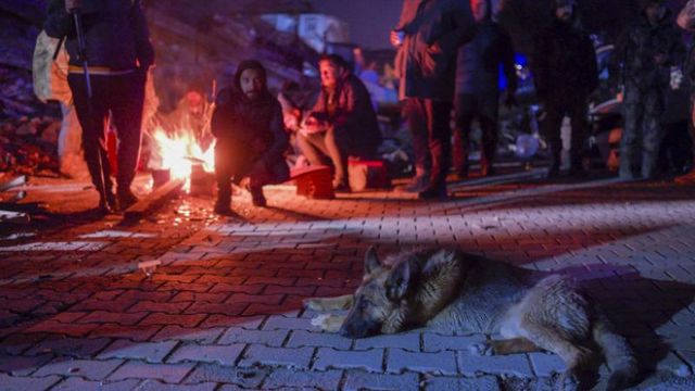 000 de morți în Turcia și Siria. Sute de mii de sinistrați au înghețat noaptea pe străzi, speranța de a găsi supraviețuitori scade
