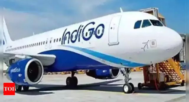 Delhi-Bagdogra IndiGo Flight Delayed by 2 Hours in National Capital Due to High Ground Temperatures