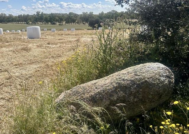 Un agricultor derriba en Toledo un menhir al intentar enderezarlo con su tractor