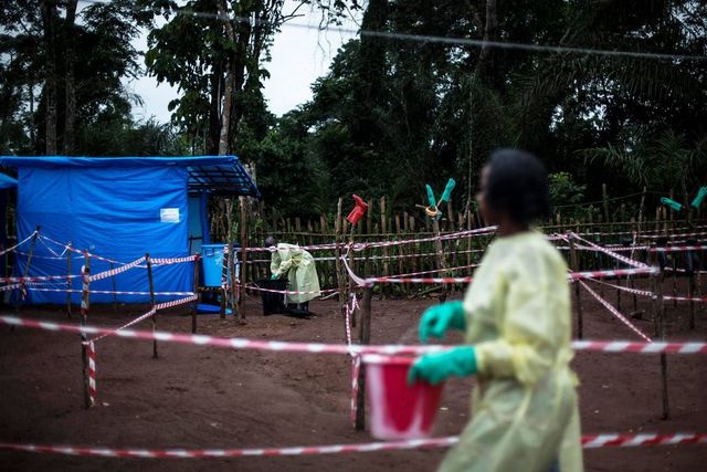 Malattia sconosciuta uccide in Congo a 48 ore dai sintomi, focolaio forse da bambini che hanno mangiato pipistrelli