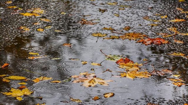 Când scăpăm de frig în România. Meteorologii au emis prognoza meteo pentru următoarele două săptămâni