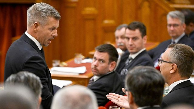 Magyar Péter üzent Mészáros Lőrincnek