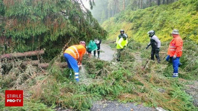 Zeci de mașini blocate pe Transalpina, după ce mai mulți copaci au căzut pe drum, în urma unei furtuni