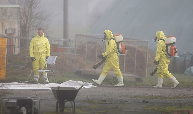 Čtvrté ohnisko ptačí chřipky je na Nymbursku