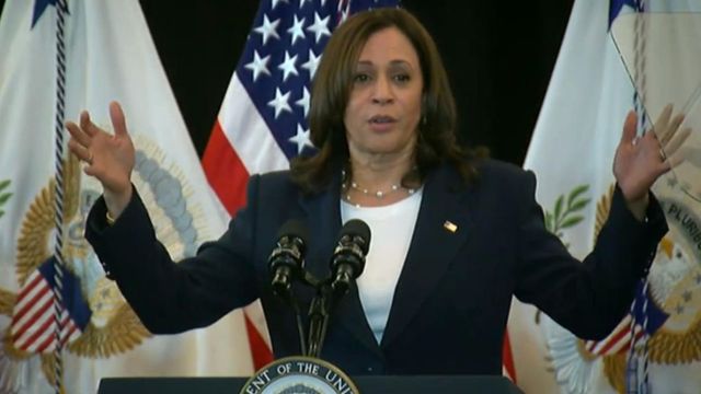 Kamala Harris a strâns până acum o sumă record pentru campania sa prezidențială