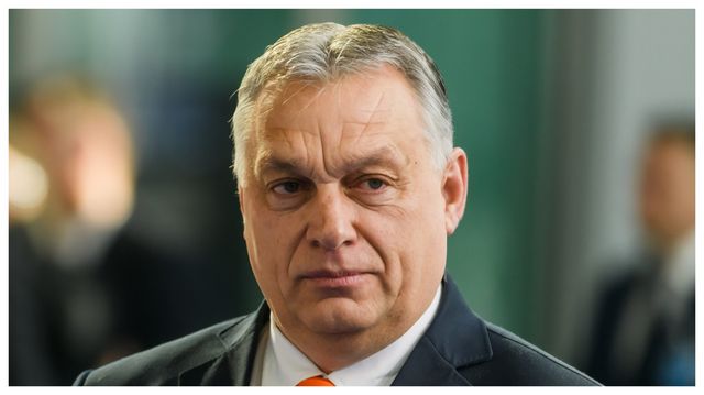 Președintele Ungariei a stabilit data alegerilor care ar putea…