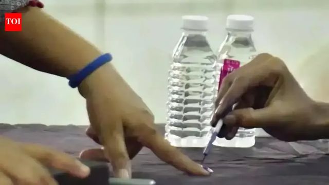 Piyush Goyal to finalise seat-sharing for Tamil Nadu elections today: BJP