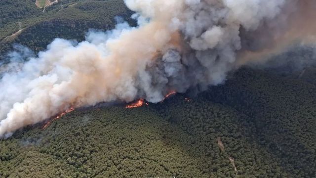 El incendio de Aiguamúrcia (Tarragona) afecta a 142 hectáreas