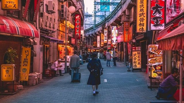 Japan Rolls Out e-Visa. Here's How Indians Can Apply For It