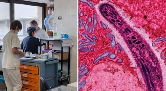 Venezia, ricoverata bambina con malaria