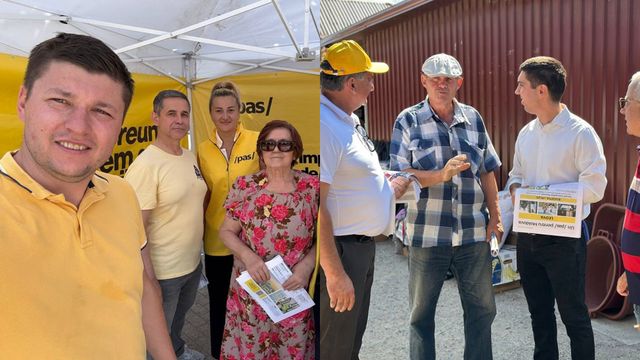 Mai mulți funcționari și-au suspendat activitatea pentru a se implica în campanie electorală