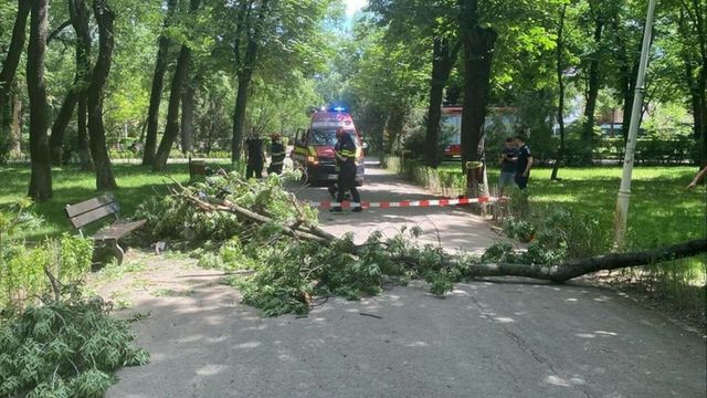 Doi tineri au ajuns la spital după ce peste ei s-a prăbușit o creangă în Parcul Bazilescu din Sectorul 1