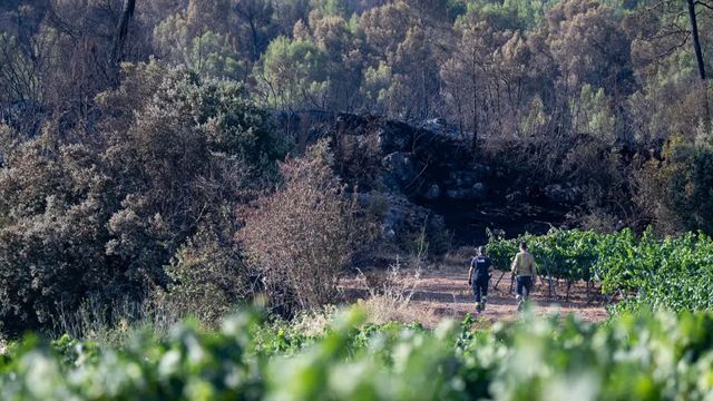 Confinan otra vez Pla de Manlleu por una reavivada del incendio que genera mucho humo