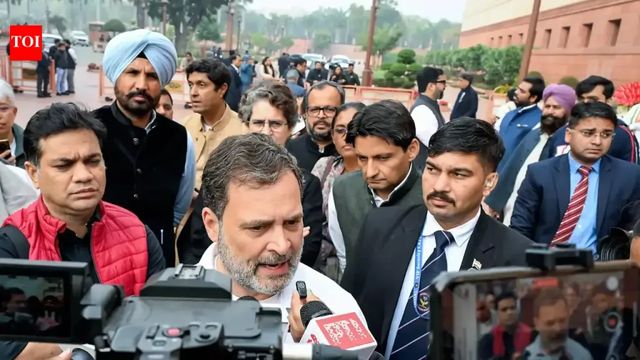 'Our Prime Minister compromised, sold our nation': Rahul Gandhi outside Parliament after LS snub