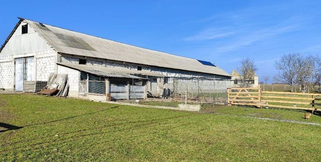 Proprietarul unei ferme din raionul Glodeni, plasat în arest pentru 30 de zile pentru că ar fi privat de libertate un bărbat