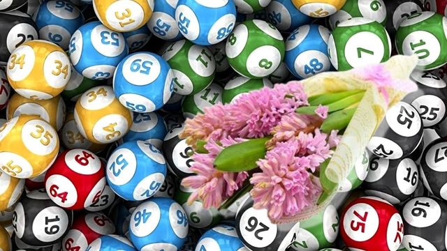 Report de peste cinci milioane de euro la Loto 6/49