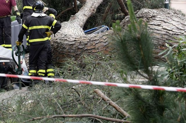 Maltempo, uomo morto a Reggio Calabria schiacciato da albero
