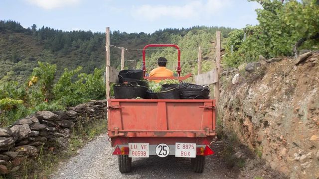 El campo ve «insuficiente» y tardía la aprobación de nuevas reducciones del sistema de módulos