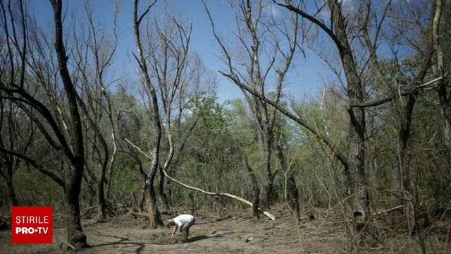 Resturi de la o dronă de proveniență rusească, găsite în apropierea localității Plauru