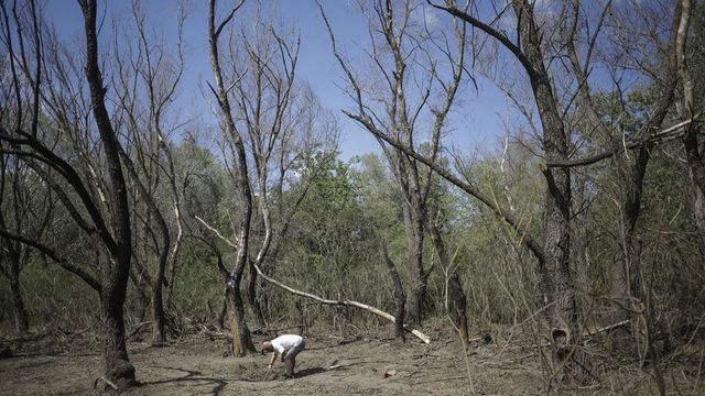 Mesaj Ro-Alert în Tulcea: Risc de cădere a unor obiecte din spațiul aerian