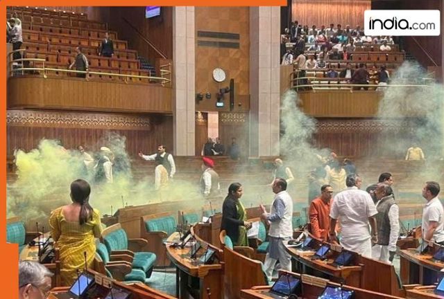 Delhi high court grants bail to Neelam Azad, Mahesh Kumawat in 2023 Parliament breach case