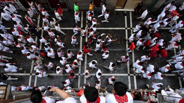 Domingo Hernández, única ganadería debutante de San Fermín 2024