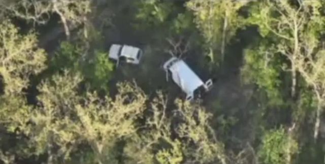 Descinderi la nord. Șapte persoane reținute într-un dosar de defrișări ilegale