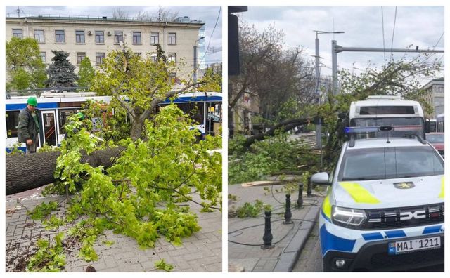 Incident în capitală: creangă prăbușită peste un troleibuz, rute redirecționate