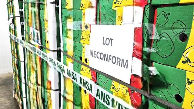 Lot de peste nouă tone de ardei contaminați cu pesticide, distrus la frontieră