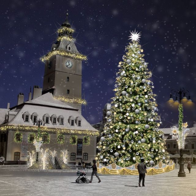 Romsilva scoate la vânzare peste 16.000 de pomi pentru Crăciun