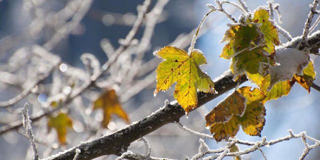 Cod galben de schimbare bruscă a vremii. Un ciclon atlantic va aduce ploi puternice, lapoviță și ninsoare