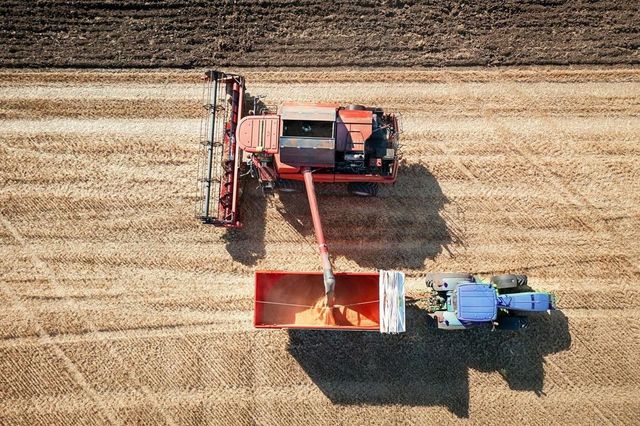Criza cerealelor ucrainene: Agricultorii polonezi au blocat circulația camioanelor la frontiera cu Ucraina și cer măsuri urgente