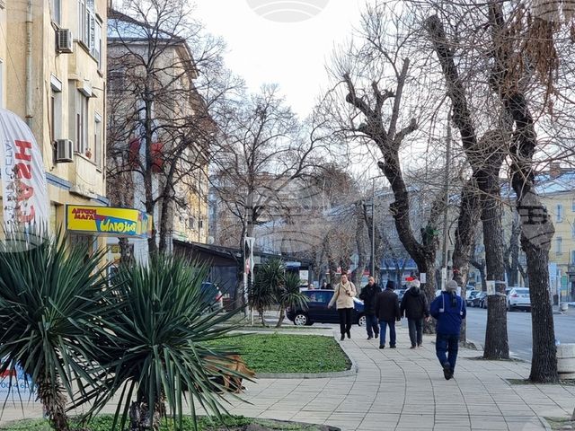 Повече от 90 процента от домакинствата в Русенско са имали достъп до интернет през миналата година