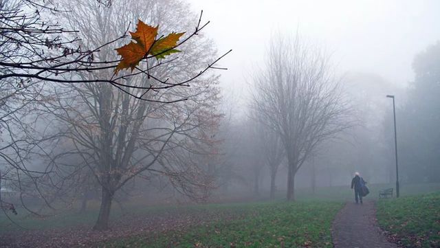 Ploi în toată țara. Cum va fi vremea astăzi, dar și în…
