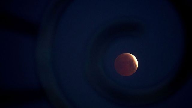 Science forum urges people to witness total lunar eclipse