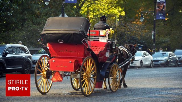 Un adolescent de 18 ani a murit după ce a fost aruncat dintr-o trăsură trasă de un cal în Central Park din New York