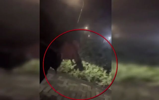 Un bărbat de 50 de ani a fost reținut după un conflict în trafic în care a fost folosită o armă de foc