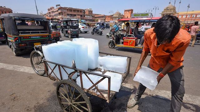 Declare National Emergency Over Heatwave, Rajasthan Court Urges Centre