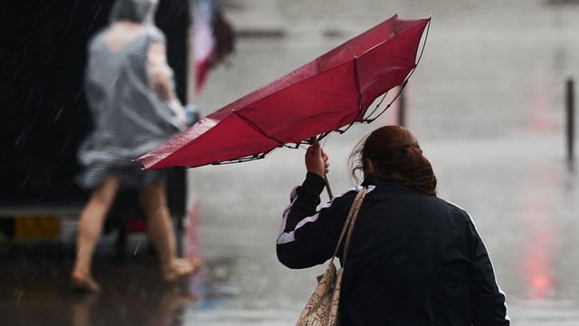 Ploi în majoritatea regiunilor, în următoarele zile