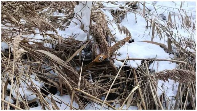 O dronă de dimensiuni mari, depistată pe malul unui iaz din Telenești