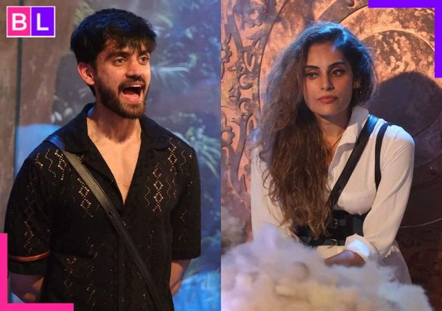 Bigg Boss 18: Shrutika Arjun And Avinash Mishra In A War Of Words