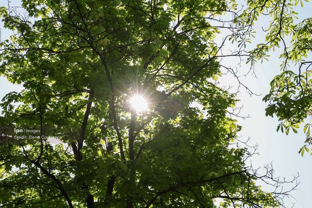 August 2026 a fost cea mai caldă lună din istoria măsurătorilor