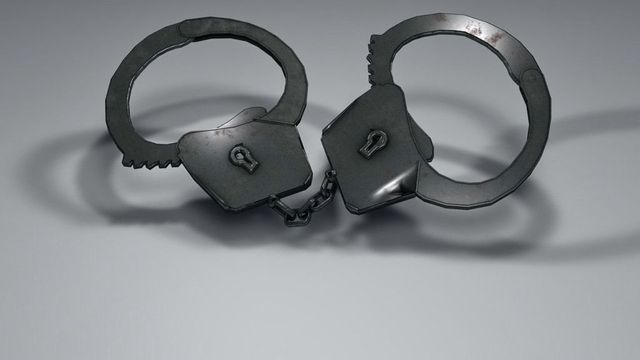 Българи са арестувани в Гърция за нелегален внос на пестициди