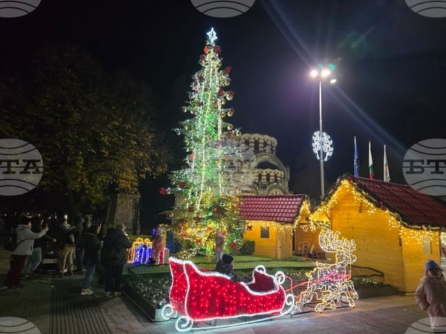 Грейнаха светлините на коледната елха в Плевен