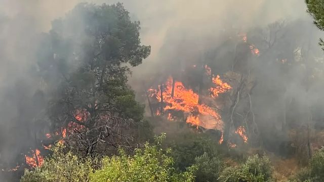 Un incendio forestal en Murcia obliga a desalojar varias viviendas y a pedir la intervención de la UME