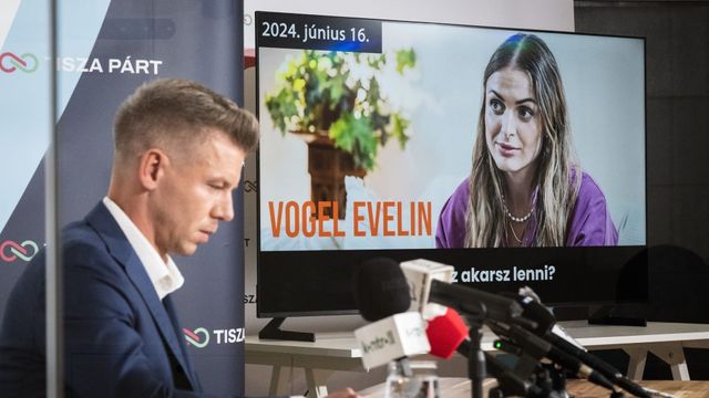 Vogel Evelin szerint a segítője kapcsolatban áll a Fidesszel