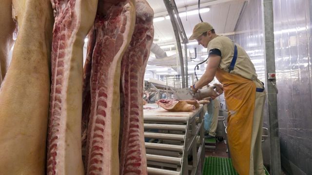 Незаконни кланици са били открити в два частни имота в кърджалийското село Чифлик