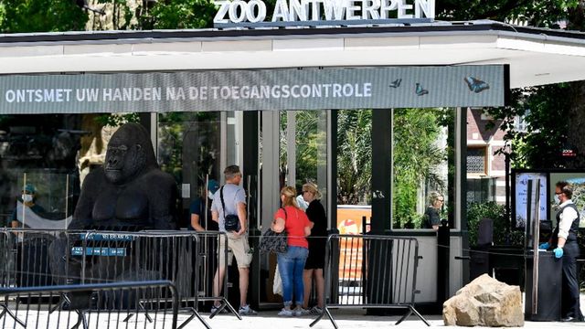Doi hipopotami dintr-o grădină zoologică belgiană au fost testați pozitiv pentru COVID-19